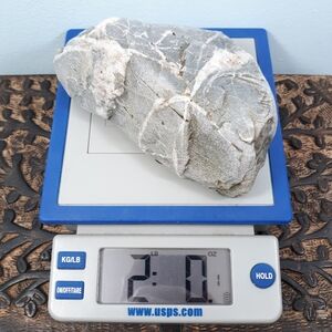 Maine 2 lb Banded Stone East Coast Beach Rock Raw Mineral Specimen Gray White